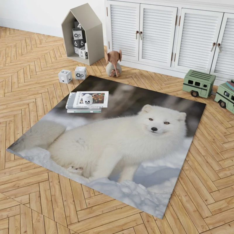 Arctic Fox Snowy Delight Cold Elegance Rug 1