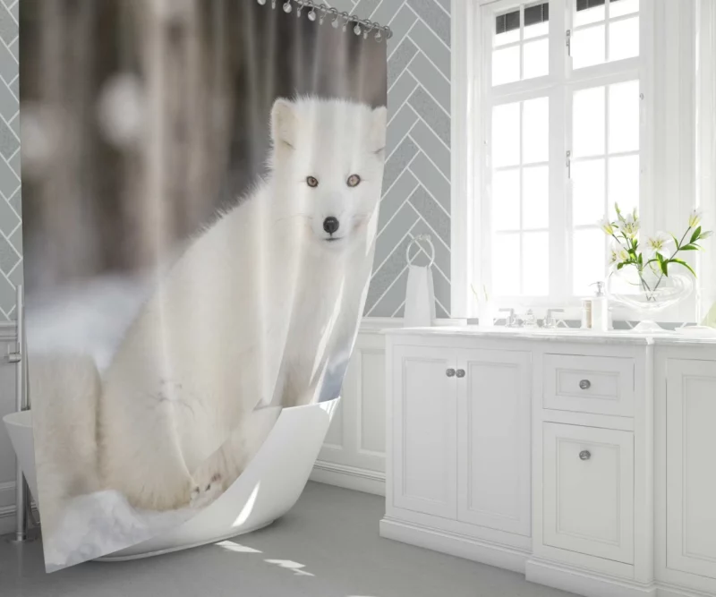 Arctic Fox Snowy Delight Cold Elegance Shower Curtain 1