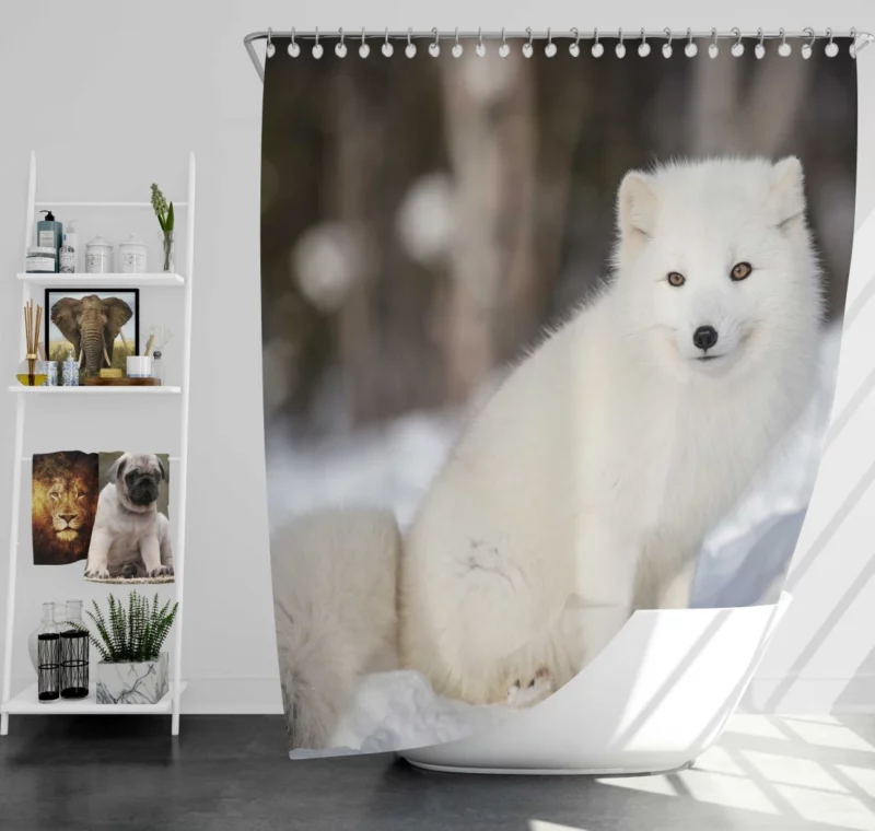 Arctic Fox Snowy Delight Cold Elegance Shower Curtain