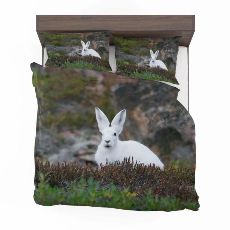 Arctic Hare Amidst Grass Cold Wilderness Bedding Set 1