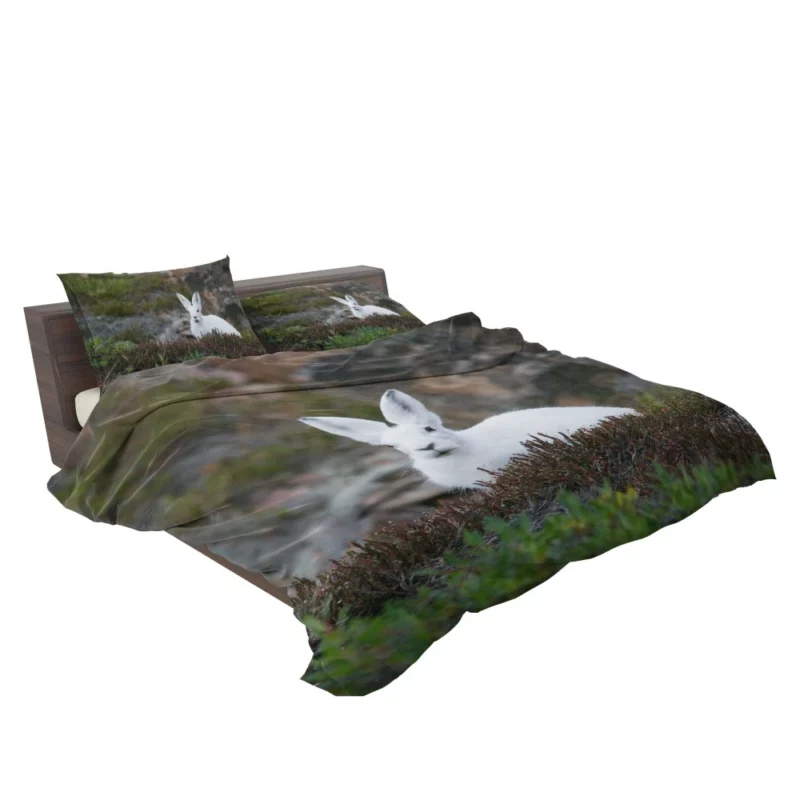 Arctic Hare Amidst Grass Cold Wilderness Bedding Set 2