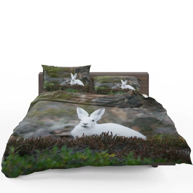 Arctic Hare Amidst Grass Cold Wilderness Bedding Set