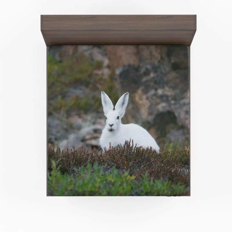 Arctic Hare Amidst Grass Cold Wilderness Fitted Sheet 1