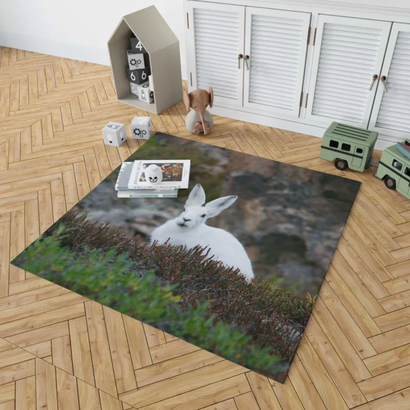 Arctic Hare Amidst Grass Cold Wilderness Rug 1