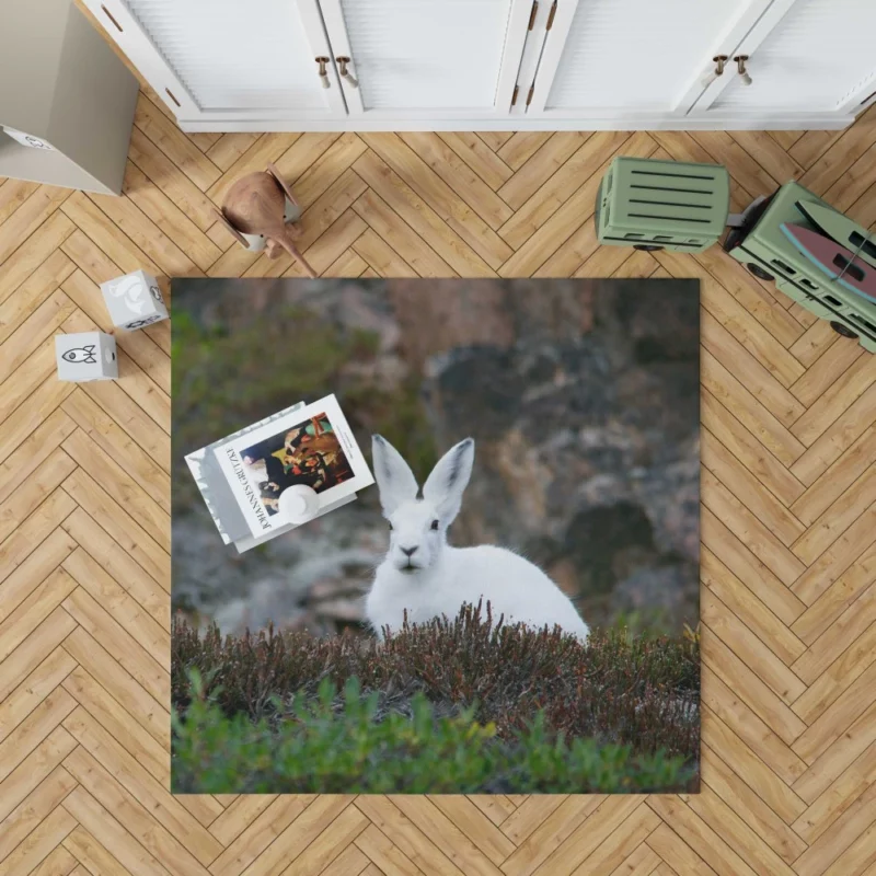 Arctic Hare Amidst Grass Cold Wilderness Rug