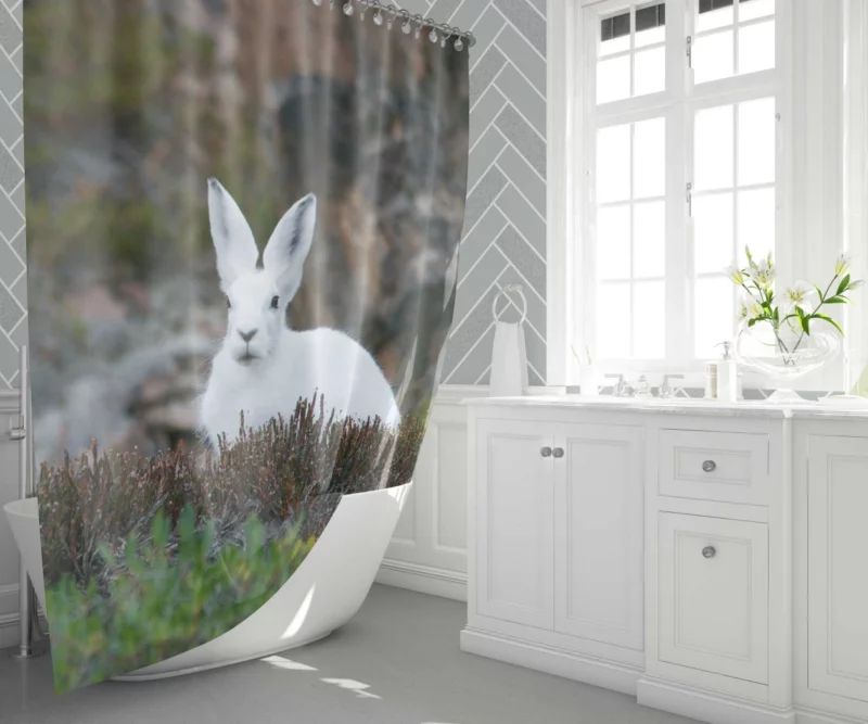 Arctic Hare Amidst Grass Cold Wilderness Shower Curtain 1