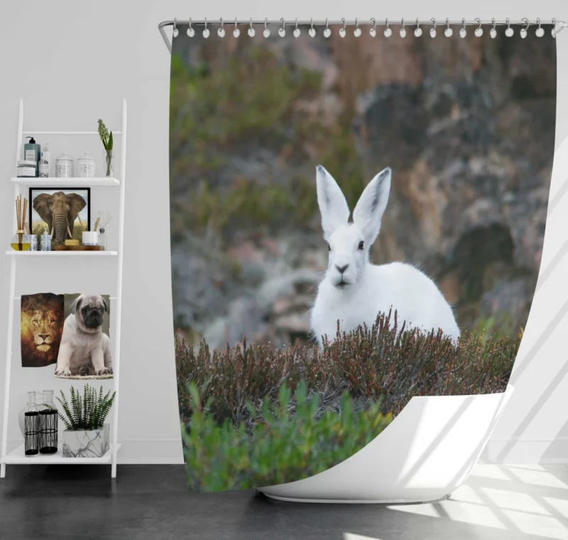 Arctic Hare Amidst Grass Cold Wilderness Shower Curtain