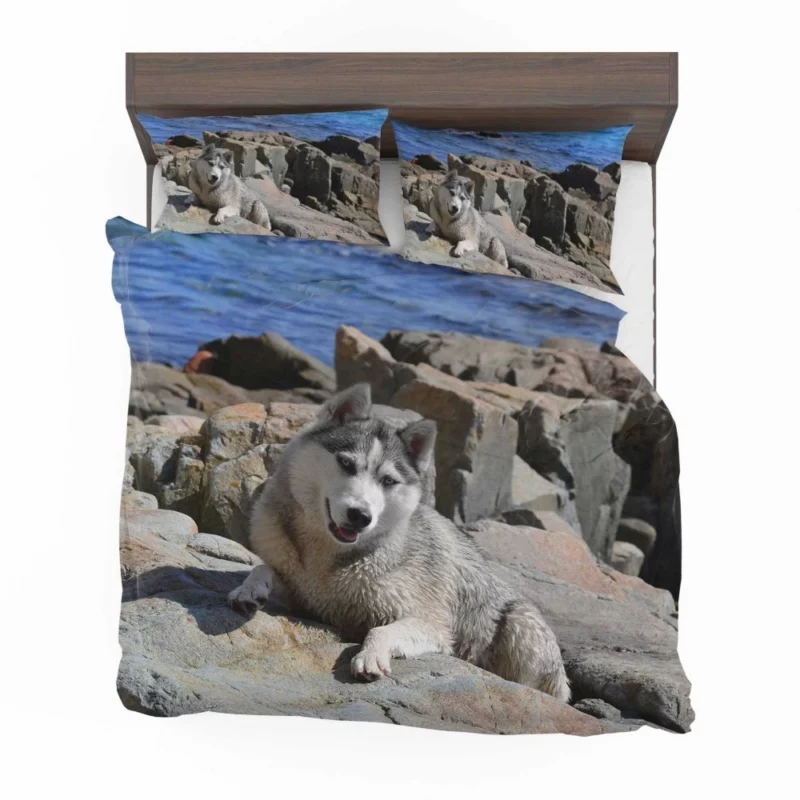 Arctic Husky Frosty Adventures Bedding Set 1