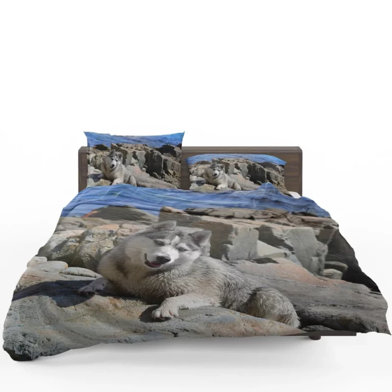 Arctic Husky Frosty Adventures Bedding Set