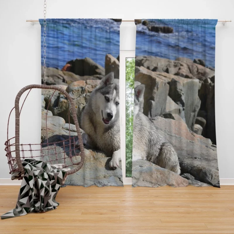 Arctic Husky Frosty Adventures Curtain