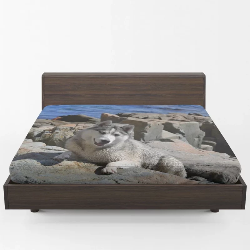 Arctic Husky Frosty Adventures Fitted Sheet