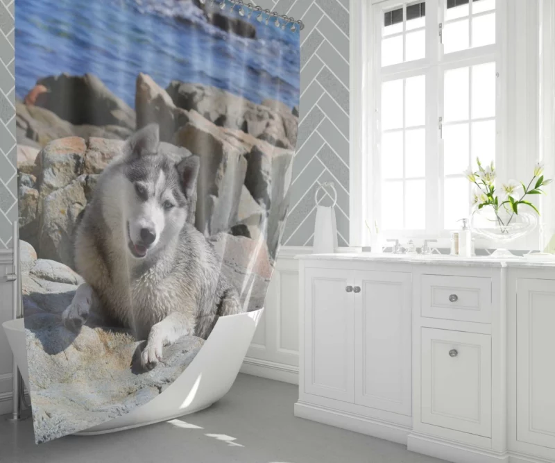 Arctic Husky Frosty Adventures Shower Curtain 1