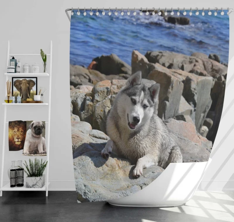 Arctic Husky Frosty Adventures Shower Curtain