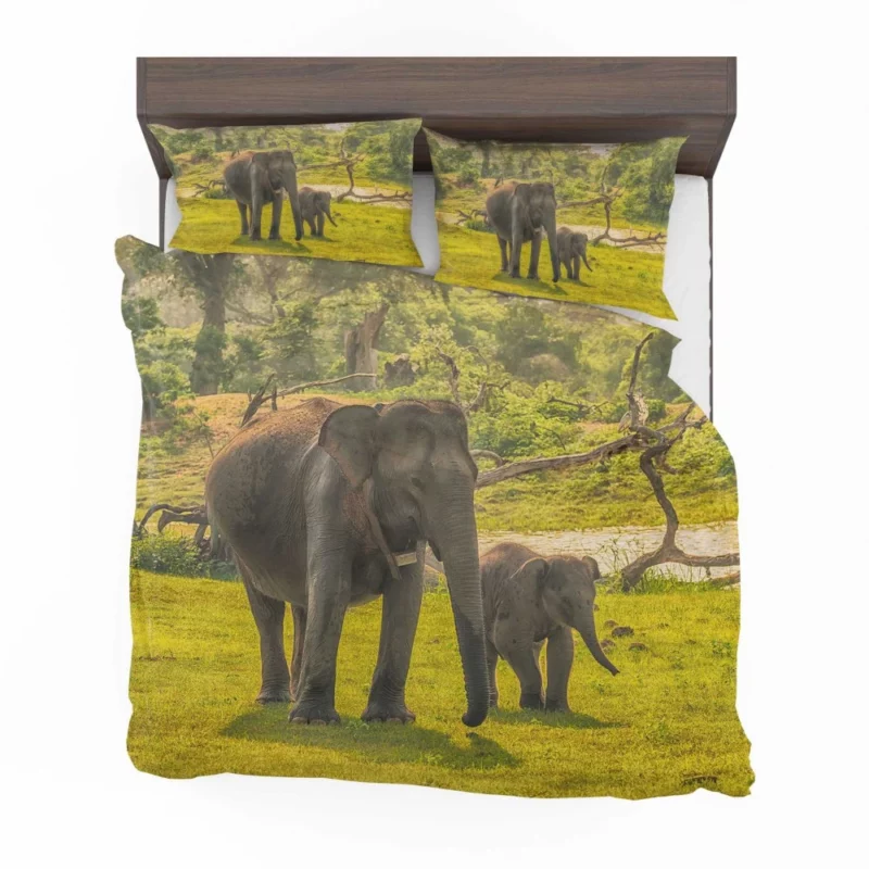 Asian Elephant Cuteness Bedding Set 1