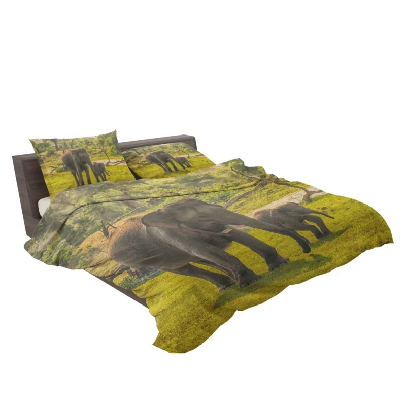 Asian Elephant Cuteness Bedding Set 2