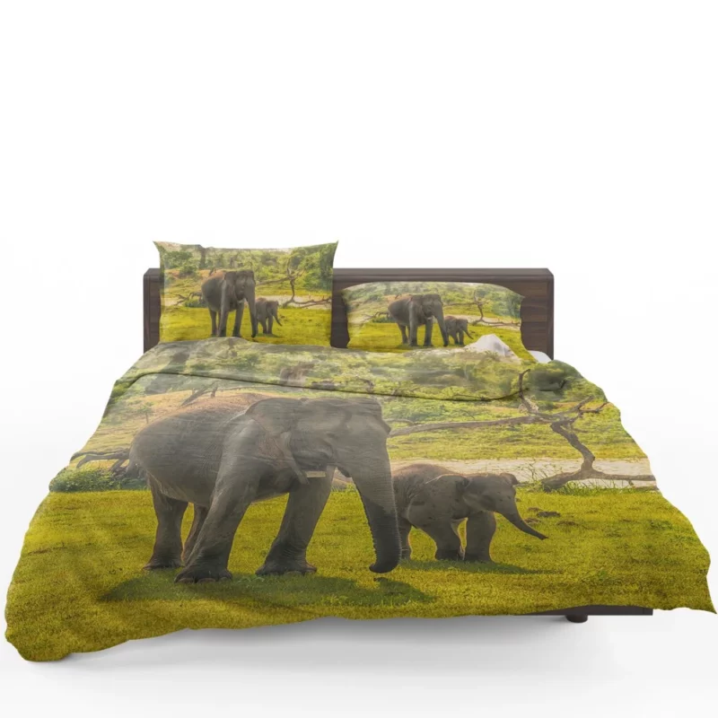 Asian Elephant Cuteness Bedding Set