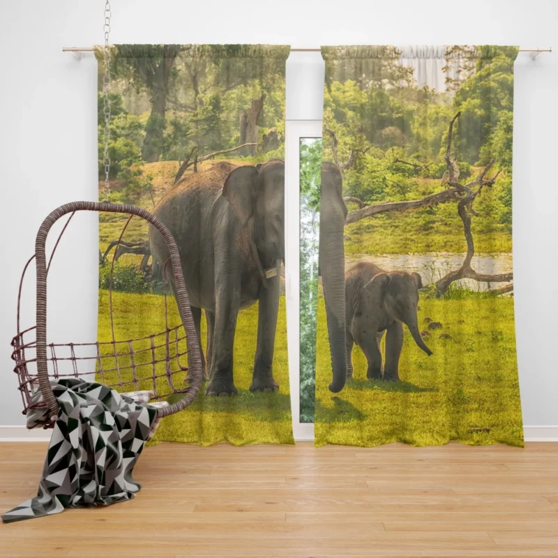 Asian Elephant Cuteness Curtain