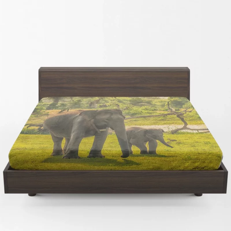 Asian Elephant Cuteness Fitted Sheet