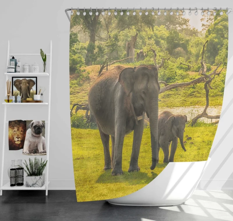 Asian Elephant Cuteness Shower Curtain