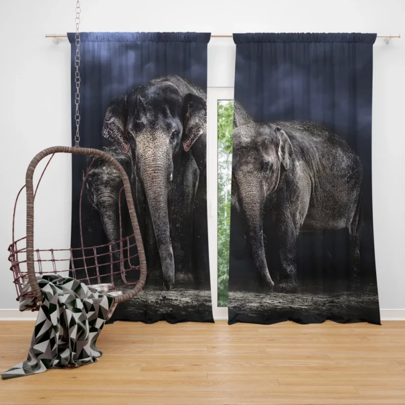 Asian Elephant Grandeur Wildlife Splendor Curtain