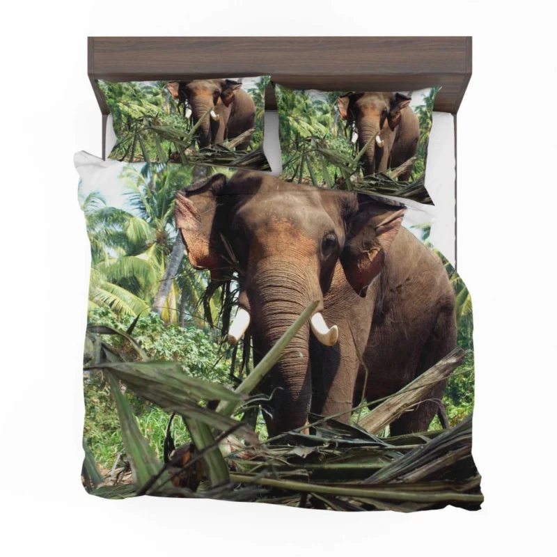 Asian Elephant Majesty Graceful Giants Bedding Set 1