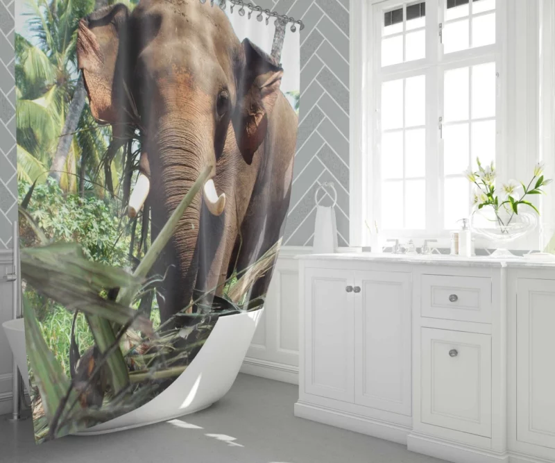 Asian Elephant Majesty Graceful Giants Shower Curtain 1