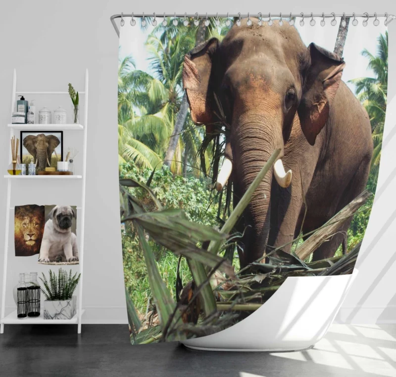 Asian Elephant Majesty Graceful Giants Shower Curtain