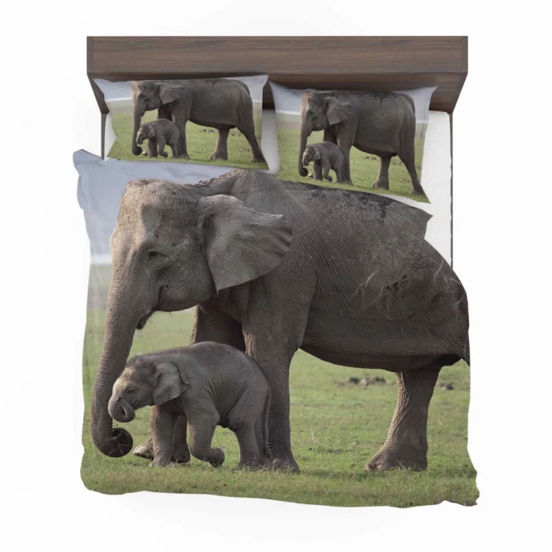 Asian Elephant Playful Baby Charm Bedding Set 1