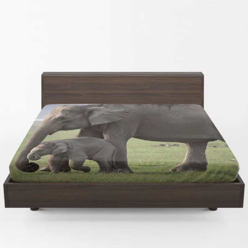 Asian Elephant Playful Baby Charm Fitted Sheet