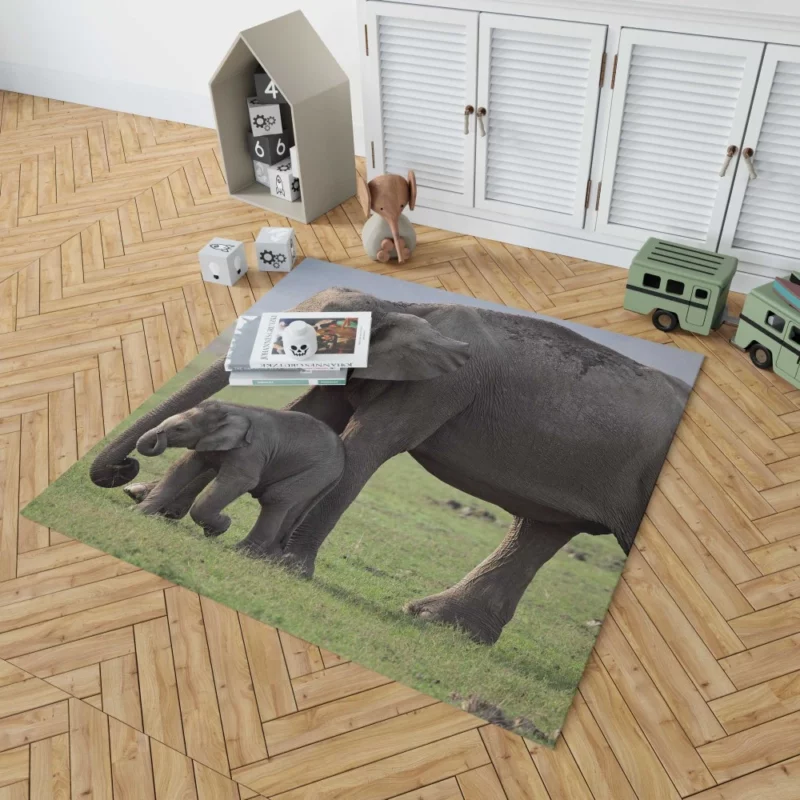 Asian Elephant Playful Baby Charm Rug 1