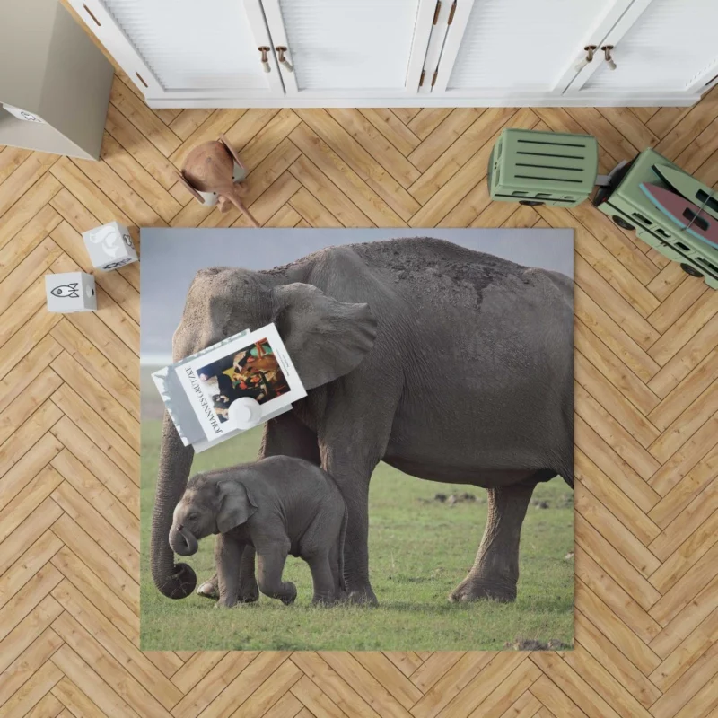 Asian Elephant Playful Baby Charm Rug