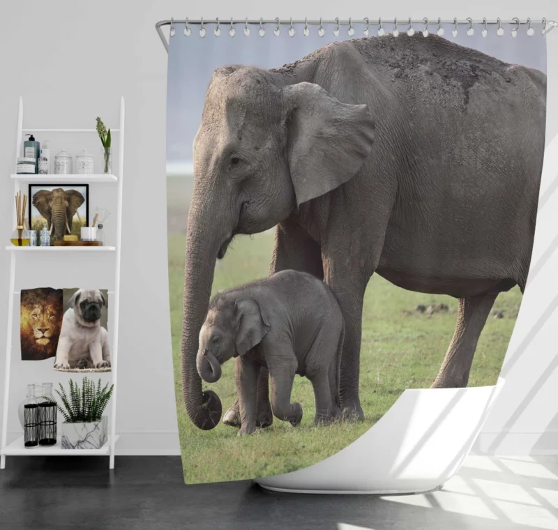 Asian Elephant Playful Baby Charm Shower Curtain