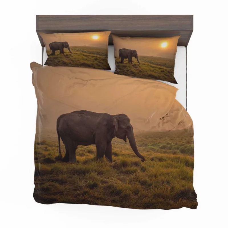 Asian Elephant in Sunlit Fog Bedding Set 1