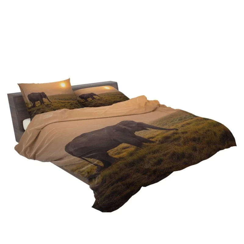 Asian Elephant in Sunlit Fog Bedding Set 2