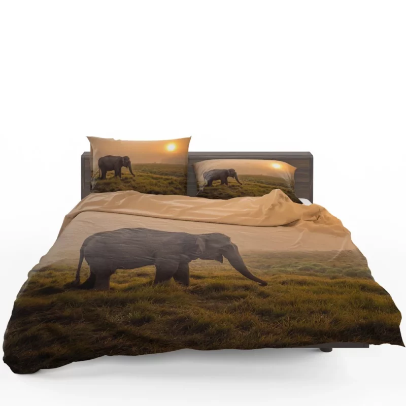 Asian Elephant in Sunlit Fog Bedding Set