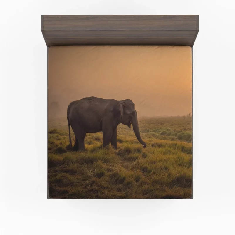 Asian Elephant in Sunlit Fog Fitted Sheet 1