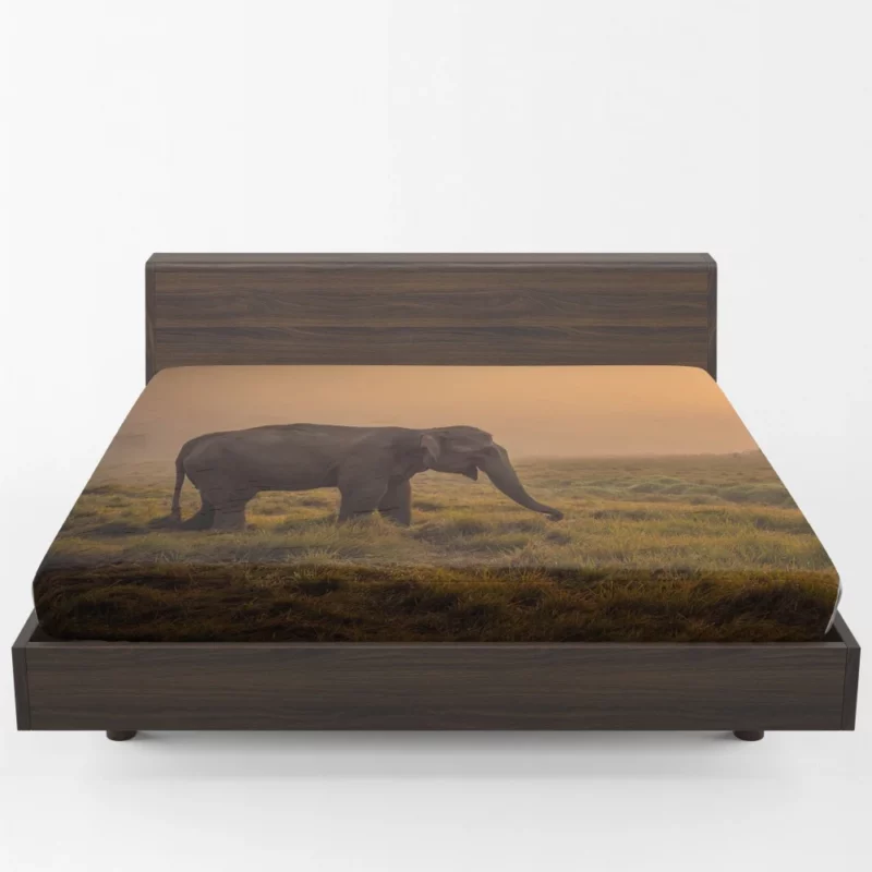 Asian Elephant in Sunlit Fog Fitted Sheet