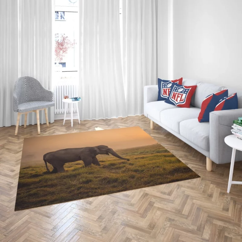 Asian Elephant in Sunlit Fog Rug 2