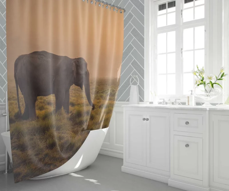 Asian Elephant in Sunlit Fog Shower Curtain 1