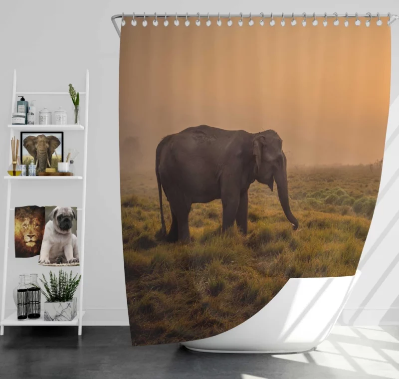 Asian Elephant in Sunlit Fog Shower Curtain