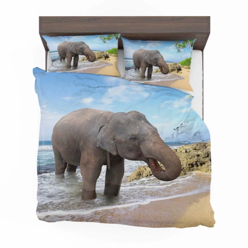 Asian Elephant on Beach Coastal Majesty Bedding Set 1