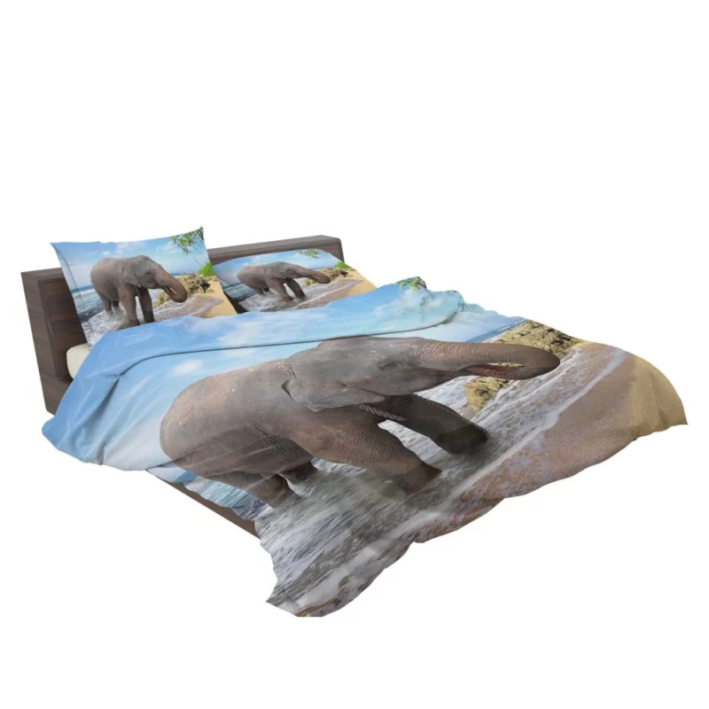 Asian Elephant on Beach Coastal Majesty Bedding Set 2