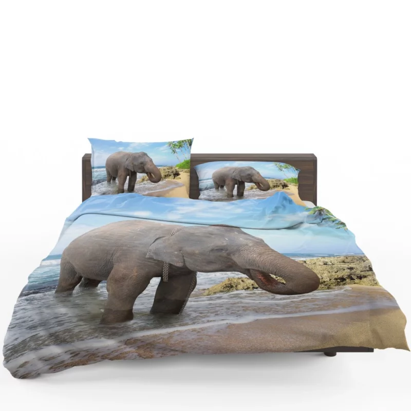 Asian Elephant on Beach Coastal Majesty Bedding Set