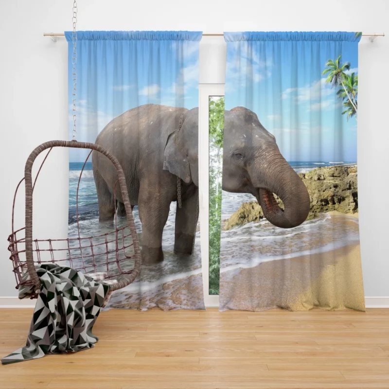 Asian Elephant on Beach Coastal Majesty Curtain