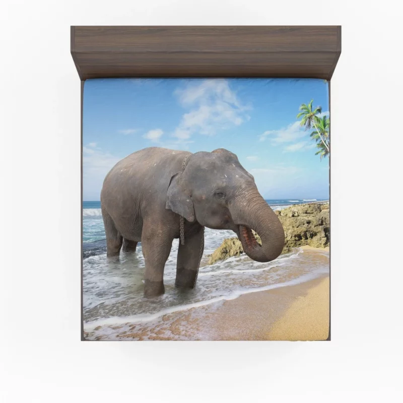 Asian Elephant on Beach Coastal Majesty Fitted Sheet 1