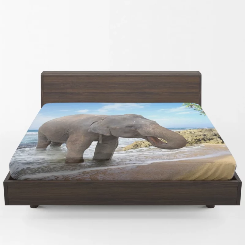 Asian Elephant on Beach Coastal Majesty Fitted Sheet