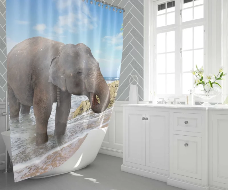 Asian Elephant on Beach Coastal Majesty Shower Curtain 1