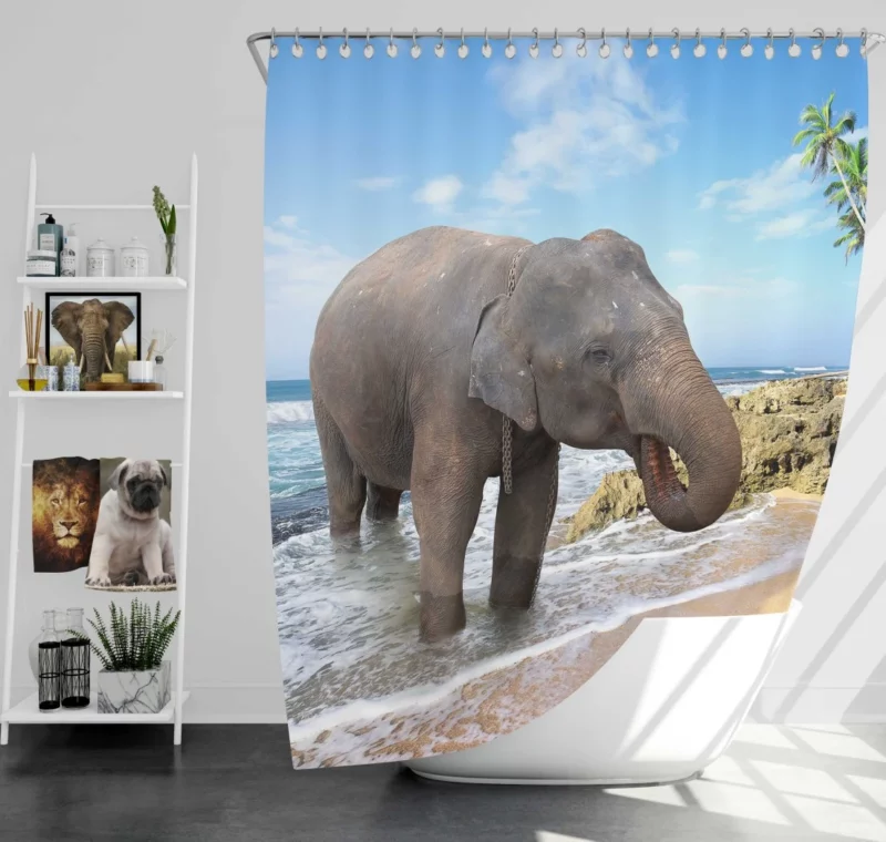 Asian Elephant on Beach Coastal Majesty Shower Curtain