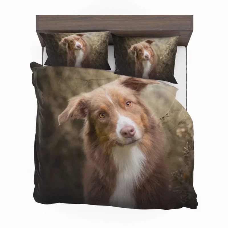 Aussie Shepherd Determination Bedding Set 1