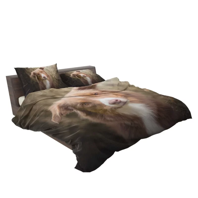 Aussie Shepherd Determination Bedding Set 2